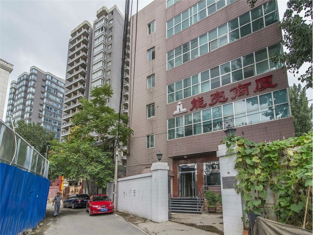 天津栽培城镇绿化苗哪些种类